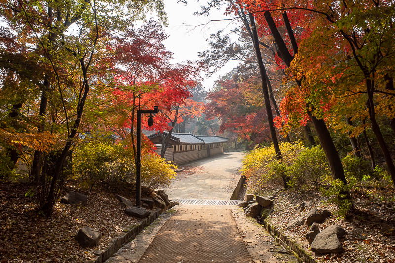 Korea-Seoul-Palace-Garden - Palatial offering