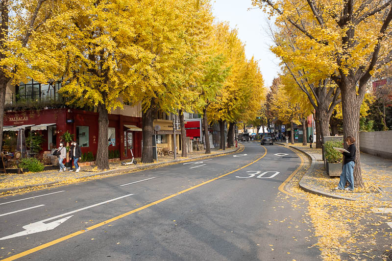 Korea twice in one year - November 2022 - And for the final shot of the day, the yellow leaves of Bukchon.