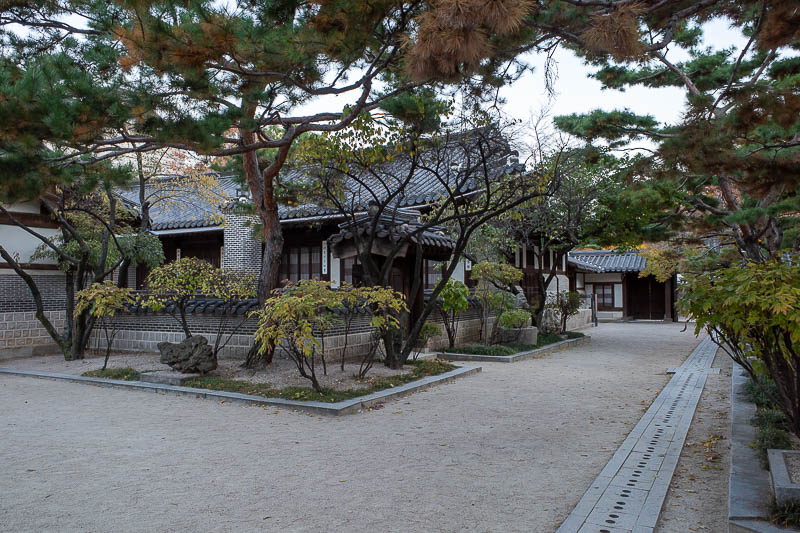 Korea twice in one year - November 2022 - My wanderings took me to the royal residence. It appears to be a recreation. It is also free, and therefore, I was happy to go in and complain that it