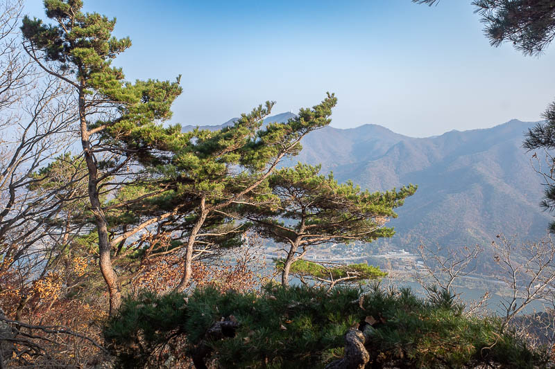 Korea-Seoul-Hiking-Geomdansan - The journey up to Geomdansan peak was very nice, across the way between the branches is the observatory from the other day on Yebongsan.