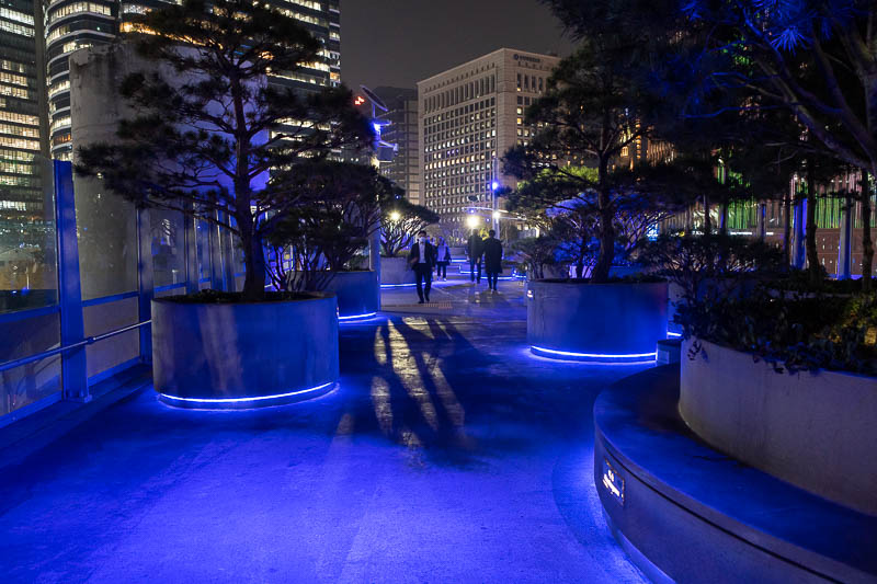 Korea-Seoul-Skygarden-Curry - The blue lights are very soothing. They make my teeth look white.