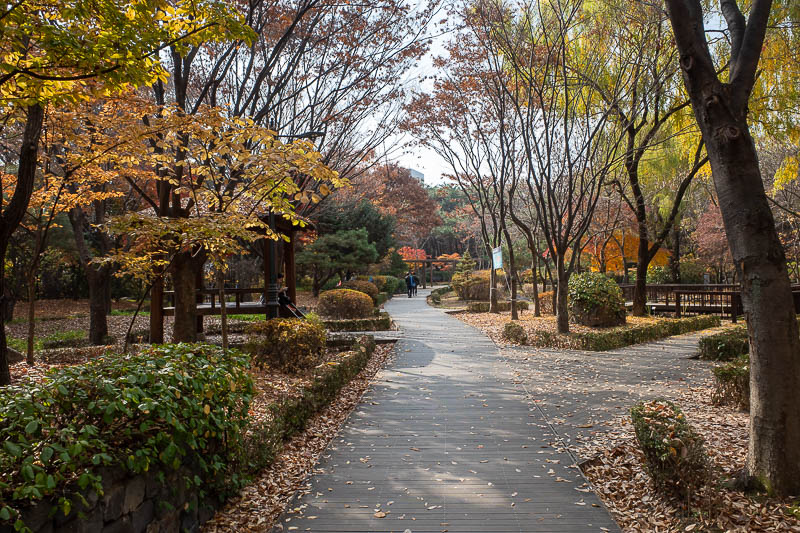 Korea-Seoul-Namsan-Protest - The developed bits of the park are however very nice.