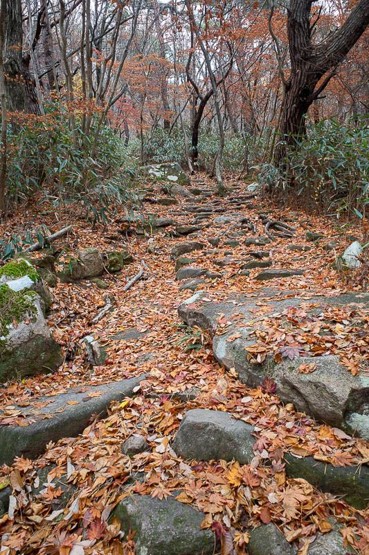 Korea-Gwangju-Hiking-Mudeungsan - The path initially was easy going, and it was well defined the whole way. However at times there are military roads, and a few dead end paths that you
