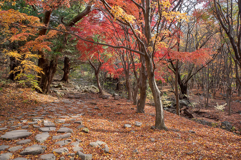 Korea-Gwangju-Hiking-Mudeungsan - A particularly colourful bit. There were a few, this was the best.