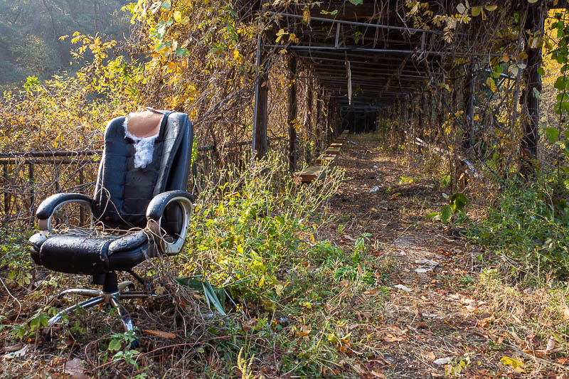 Korea twice in one year - November 2022 - Some people would be very excited to just take photos of the abandoned amusement park and call it a day. Here is a chair and an overgrown tunnel cover