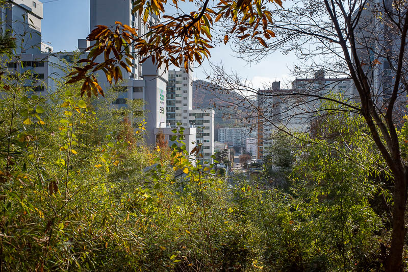 Korea-Gwangju-Mudeungsan-Jisan - And here is where I came out. A new development built into the side of the hill.