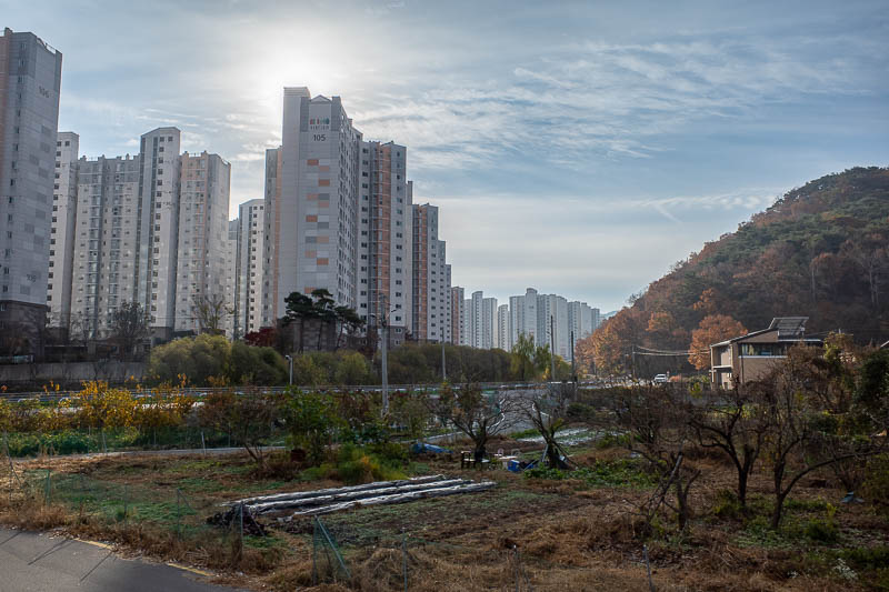 Korea-Gwangju-Hwasun - I went on the subway to the last station and just kept walking, not knowing what lay ahead. Predictably, more giant apartment buildings lay ahead, but