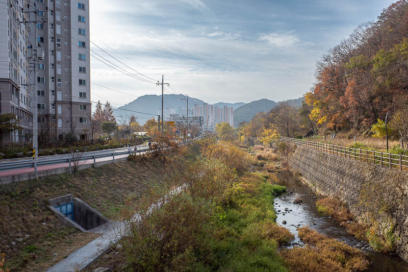 Korea-Gwangju-Hwasun - My direction of travel also looked nice along the creek.