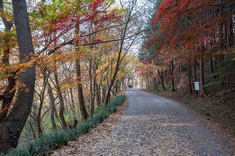 Korea-Gwangju-Hwasun - The road down to Hwasun was equally as nice.