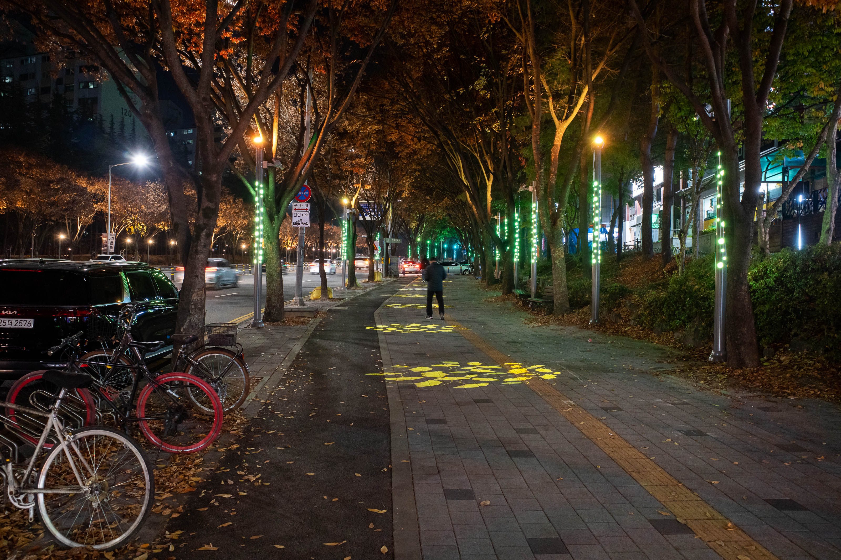 Korea-Daejeon-Dunsan - Final pic for this evening, I wandered away from the city centre and enjoyed the tree lighting with lasers that lined most streets.