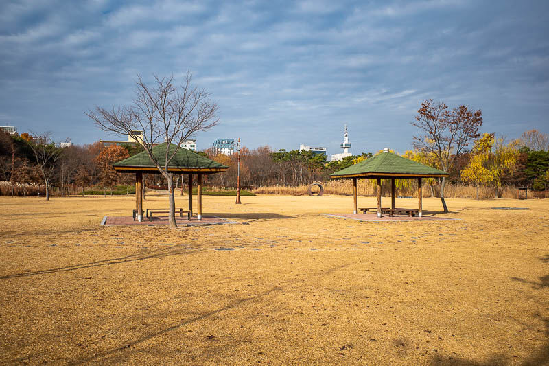 Korea-Daejeon-Hanbat-Expo - First photo of the arboretum area. Those colours are wrong. Quite a few photos today look weird.