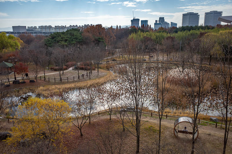 Korea-Daejeon-Hanbat-Expo - From above it looks nice enough, but it is all kind of brown and dead as winter approaches.
