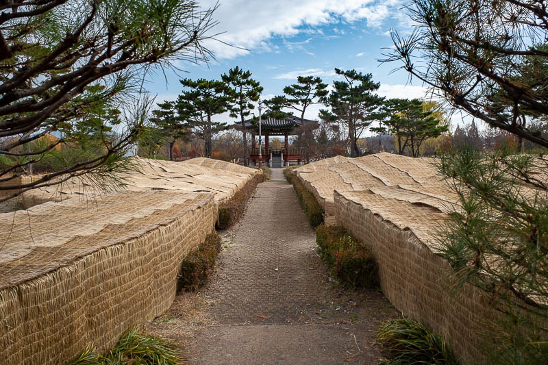 Korea-Daejeon-Hanbat-Expo - This is new to me. They cover up the entire garden areas with bamboo mats.