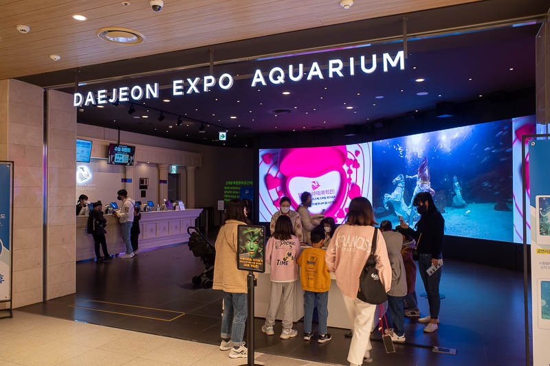 Korea-Daejeon-Hanbat-Expo - I headed down to the basement food area, to discover it has an aquarium. That's a first.