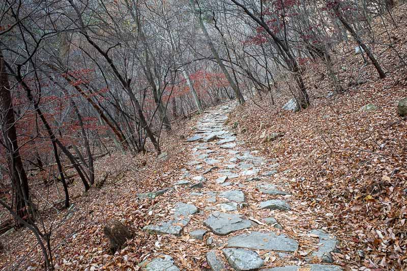 Korea-Daejeon-Hiking-Gyeryongsan - The early on path was very well formed.