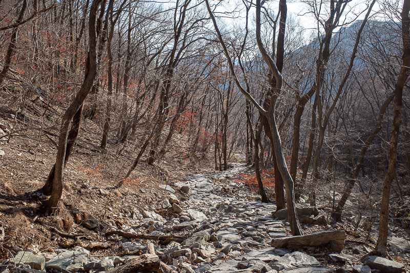 Korea-Daejeon-Hiking-Gyeryongsan - Great rocky path, but soon it became a very steep climb.