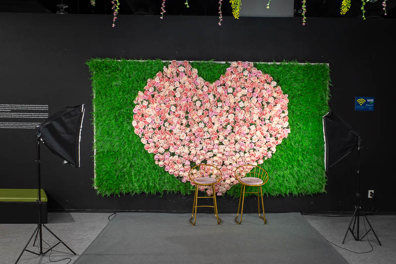 Korea-Daejeon-Museum - The future has accurately predicted everyone will be sitting in front of a heart made of flowers taking a photo with professional lighting.