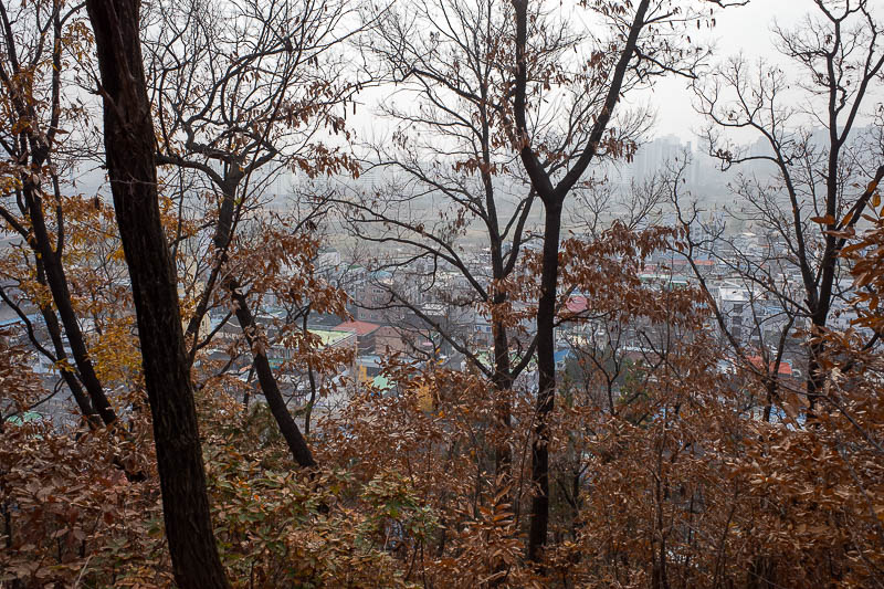 Korea-Daejeon-Seoul-KTX - The view through the trees was foggy and all low rise buildings, no giant apartments. I thought the hills were man made but after I walked down I saw 