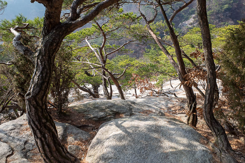 Korea-Seoul-Hiking-Dobongsan - Here is a part of a rock I climbed up.