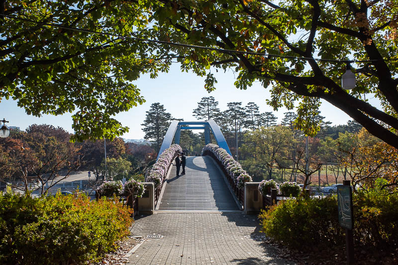 Korea twice in one year - November 2022 - Nice flowers on this bridge.