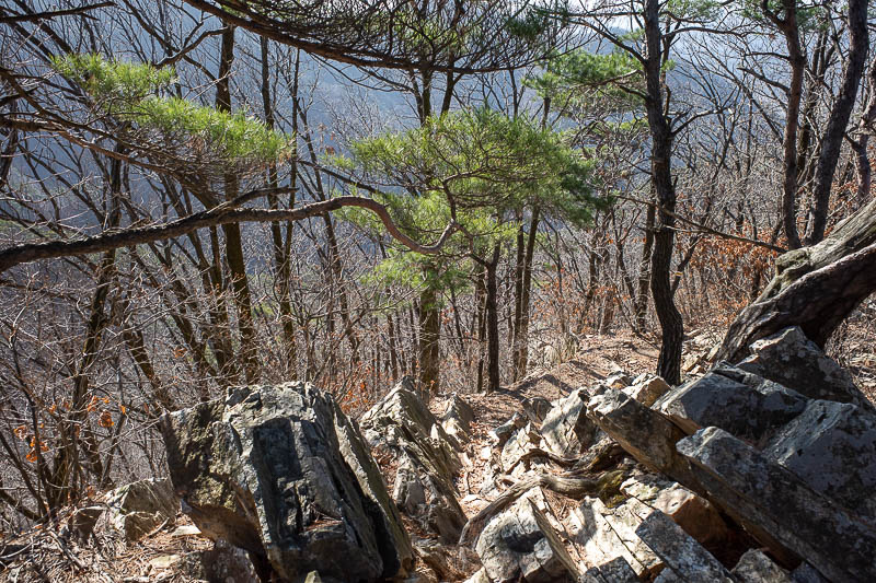 Korea-Seoul-Hiking-Soyosan - Nice rocks and trees, but hard to climb over all the time.