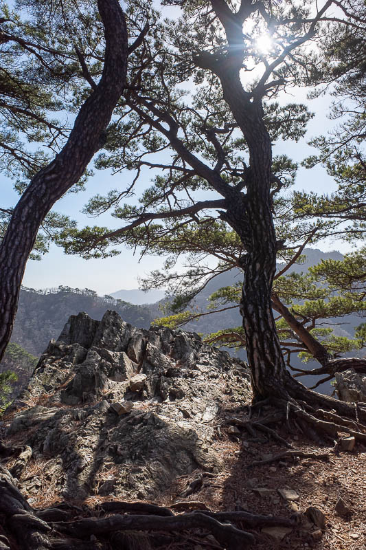 Korea-Seoul-Hiking-Soyosan - More rocks and trees.