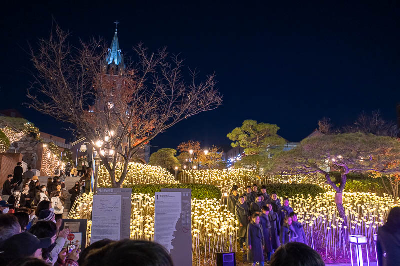 Korea-Seoul-Food - The catholic cathedral gets into the act by not only having lights, but also a choir.
