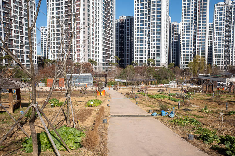 Korea-Seoul-Olympics - Some time later on my walk above the purple line, I came to a community garden. This part of Seoul is all new apartment buildings, some a lot newer th