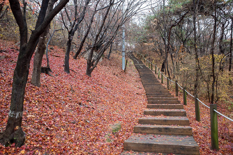 Korea-Seoul-Hiking-Inwangsan - Given that the ground was still damp, I was happy to have some good sturdy non slippery steps for most of, but not all of the journey.