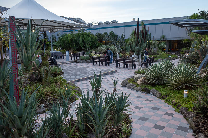 Korea twice in one year - November 2022 - The cactus garden. These are really just smoking areas. People get excited about these little gardens at Singapore airport, and at the moment this is 