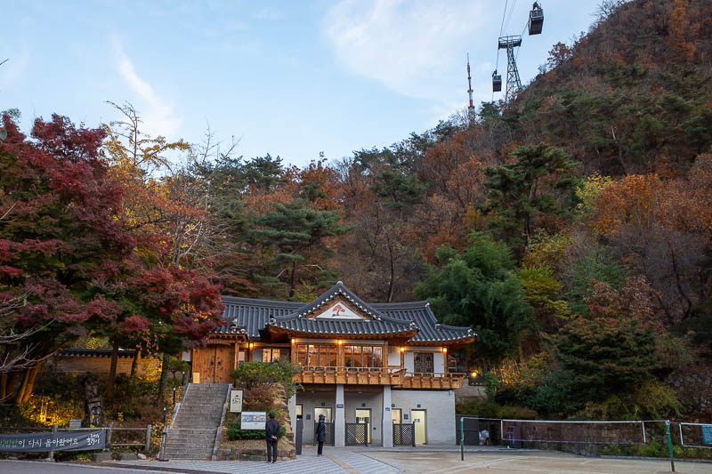 Korea-Seoul-Namsan-Pasta - Colourful leaves and 2 x cable cars, oh my.