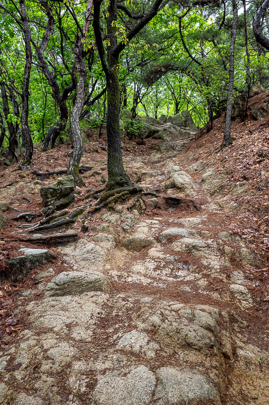 Korea-Seoul-Hiking-Buramsan - Eventually, all trails become rocky.