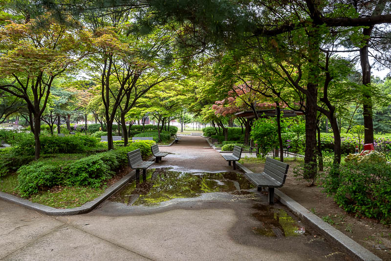More of the same of Korea - March and April 2024 - The grounds are very nice.