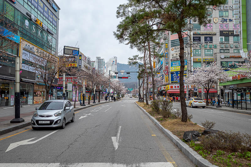 More of the same of Korea - March and April 2024 - The Hoeryong station area is surrounded by shop filled streets, and more blossoms.