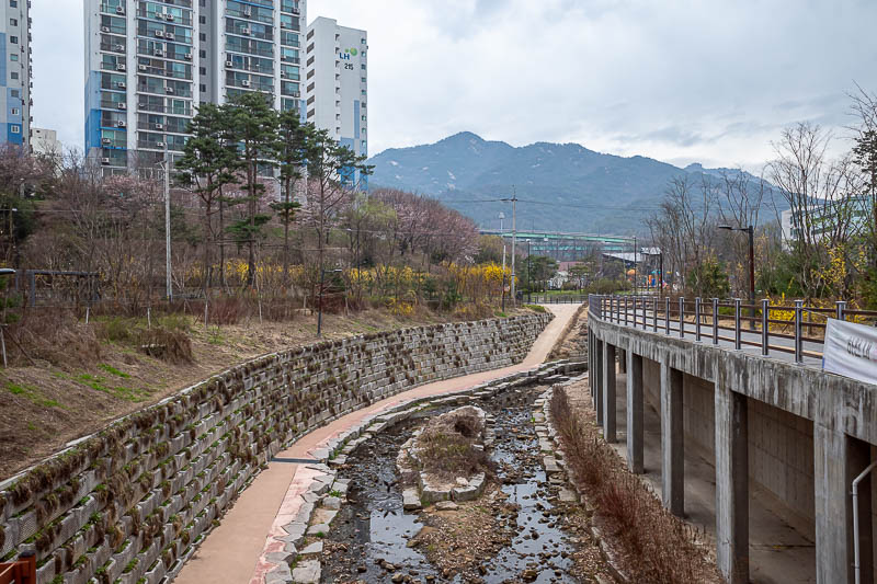 More of the same of Korea - March and April 2024 - There are my mountains for today. They look strangely far away in this photo, despite the trail starting just under those freeway overpasses in the ce