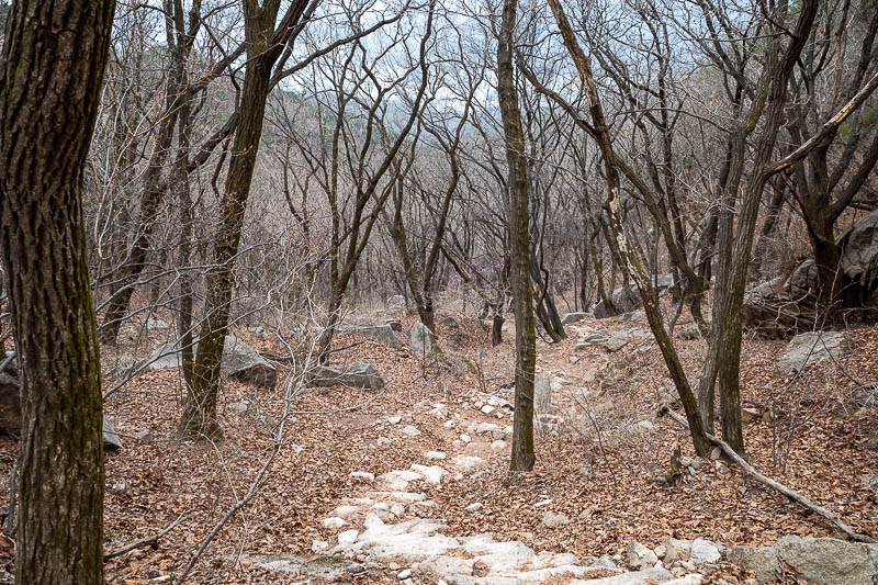 More of the same of Korea - March and April 2024 - Eventually I started on a long man made trail down of... more rocks.