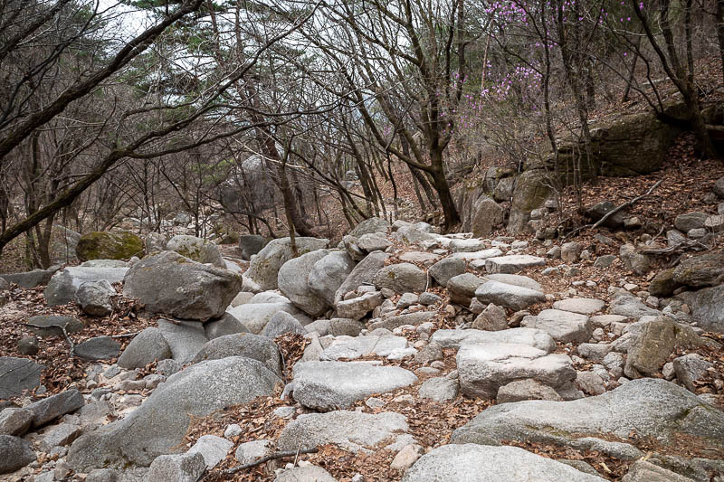 More of the same of Korea - March and April 2024 - But fear not, still more rocks! A glacial flow of rocks from pre-history!