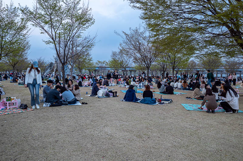 Korea-Seoul-Yeouido-Food - A huge number of people. Note they are all sitting on a colourful piece of freshly purchased plastic coated cardboard. Most of these will float down t
