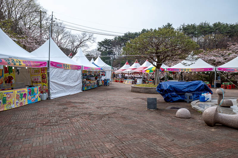 More of the same of Korea - March and April 2024 - Near the start of the trail, a small fair has sprung up. I was a bit early for it. I thought there would be a lot more people around, both on the bus 