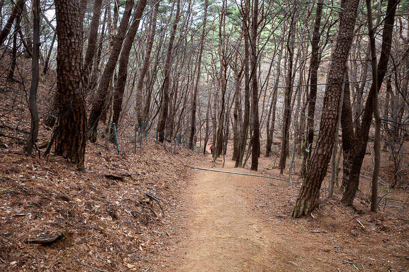 More of the same of Korea - March and April 2024 - The lower bits of the trail are very well developed.