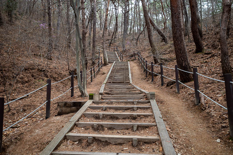 More of the same of Korea - March and April 2024 - Many high quality stair cases. There is a cable car as you shall see, but obviously, I did not and will not take it!