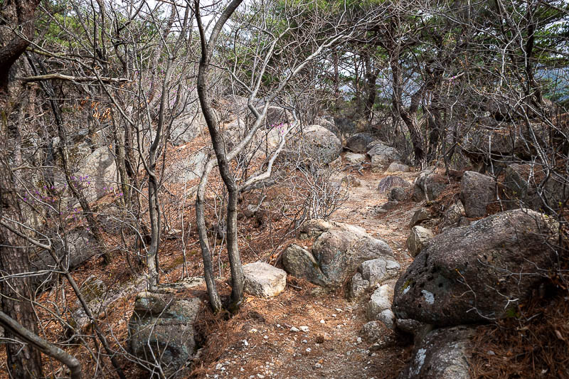 More of the same of Korea - March and April 2024 - Before too long, rocks. Lots of rocks.