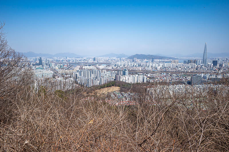 More of the same of Korea - March and April 2024 - Last view shot for today.