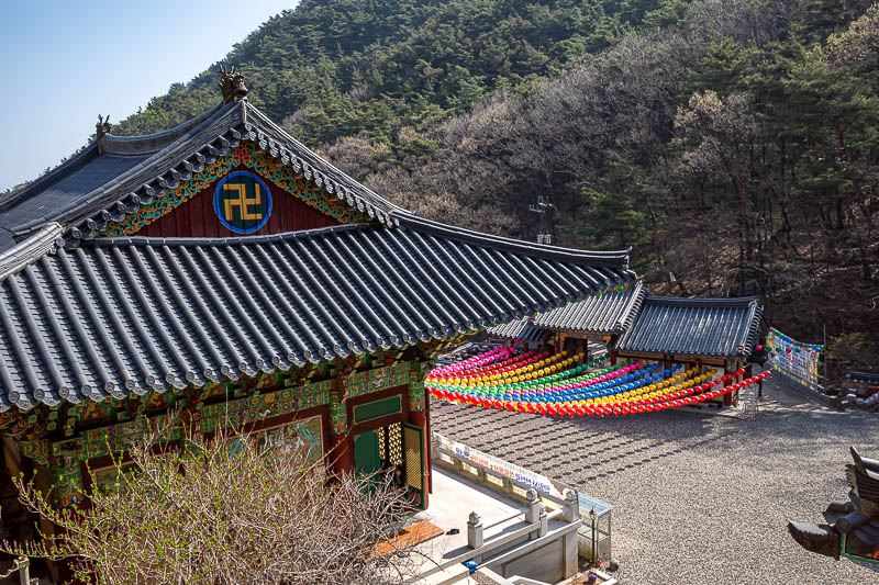 Korea-Daegu-Apsan - I climbed up behind the temple to get a clear shot of the nazi symbol.