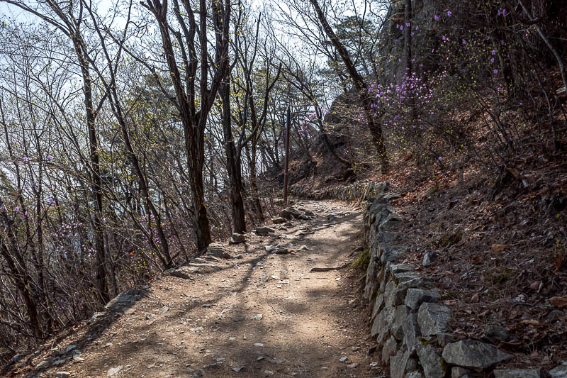 Korea-Daegu-Apsan - A rare flat bit of the trail to the top.