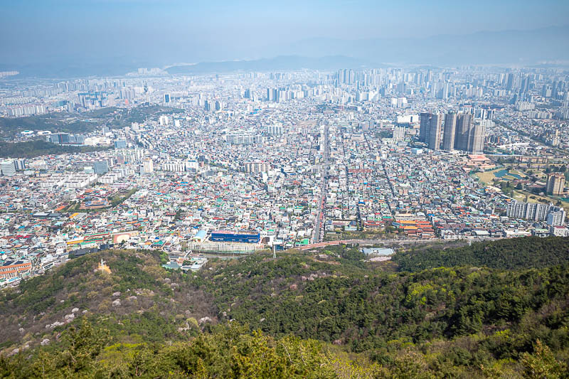 Korea-Daegu-Apsan - The centre view. My hotel is in there somewhere.
