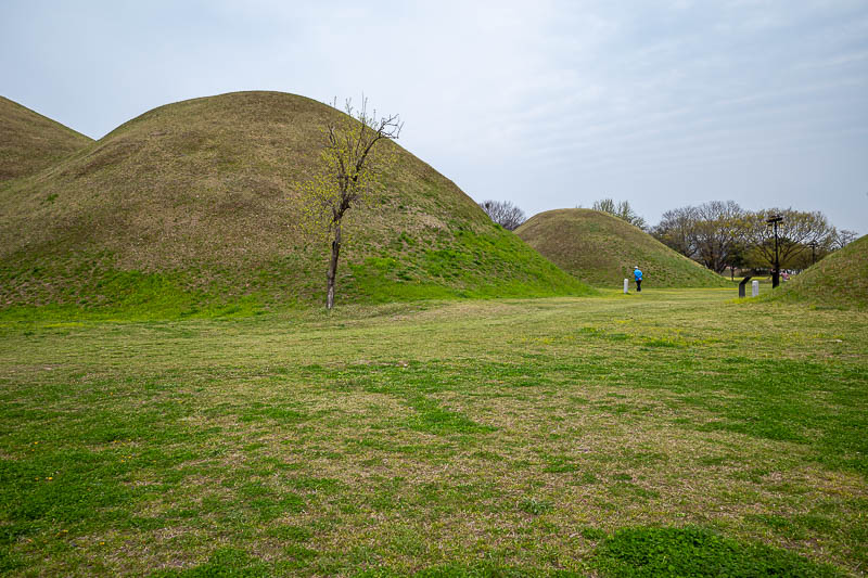 More of the same of Korea - March and April 2024 - Now for something historic. Funeral mounds!
