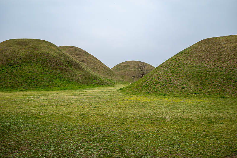 More of the same of Korea - March and April 2024 - Are they funeral mounds or Tombs? Well there is a museum, so I went in to find out. Also I do not know what the difference is between a funeral mound 