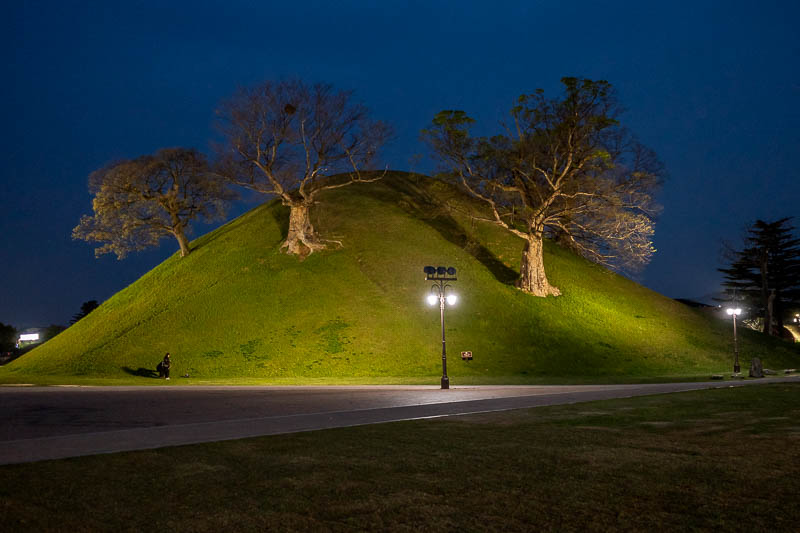 More of the same of Korea - March and April 2024 - Behold, the granddaddy of all funeral mounds. So grand that awesome trees grow out of it!