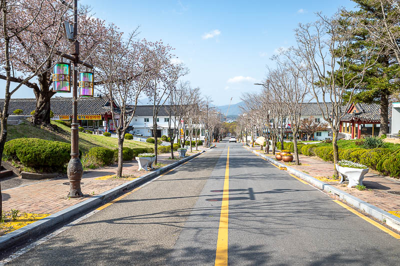 More of the same of Korea - March and April 2024 - Bulkguksa is about 30 minutes by bus away from down town Gyeongju. The road there is completely cherry blossom lined, and goes around theme parks, his